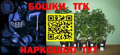 ПСИЛОЦИБИНОВЫЕ ГРИБЫ Изобильный