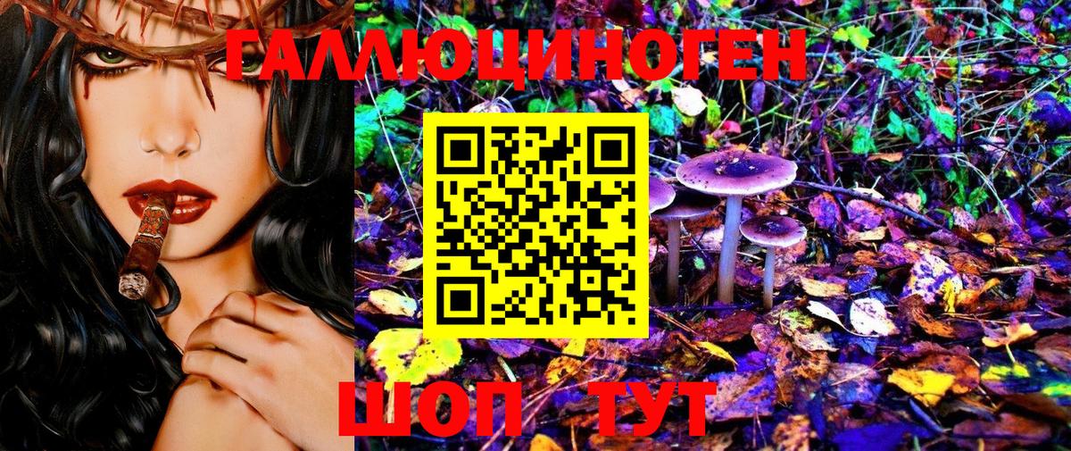 Галлюциногенные грибы Cubensis Магнитогорск